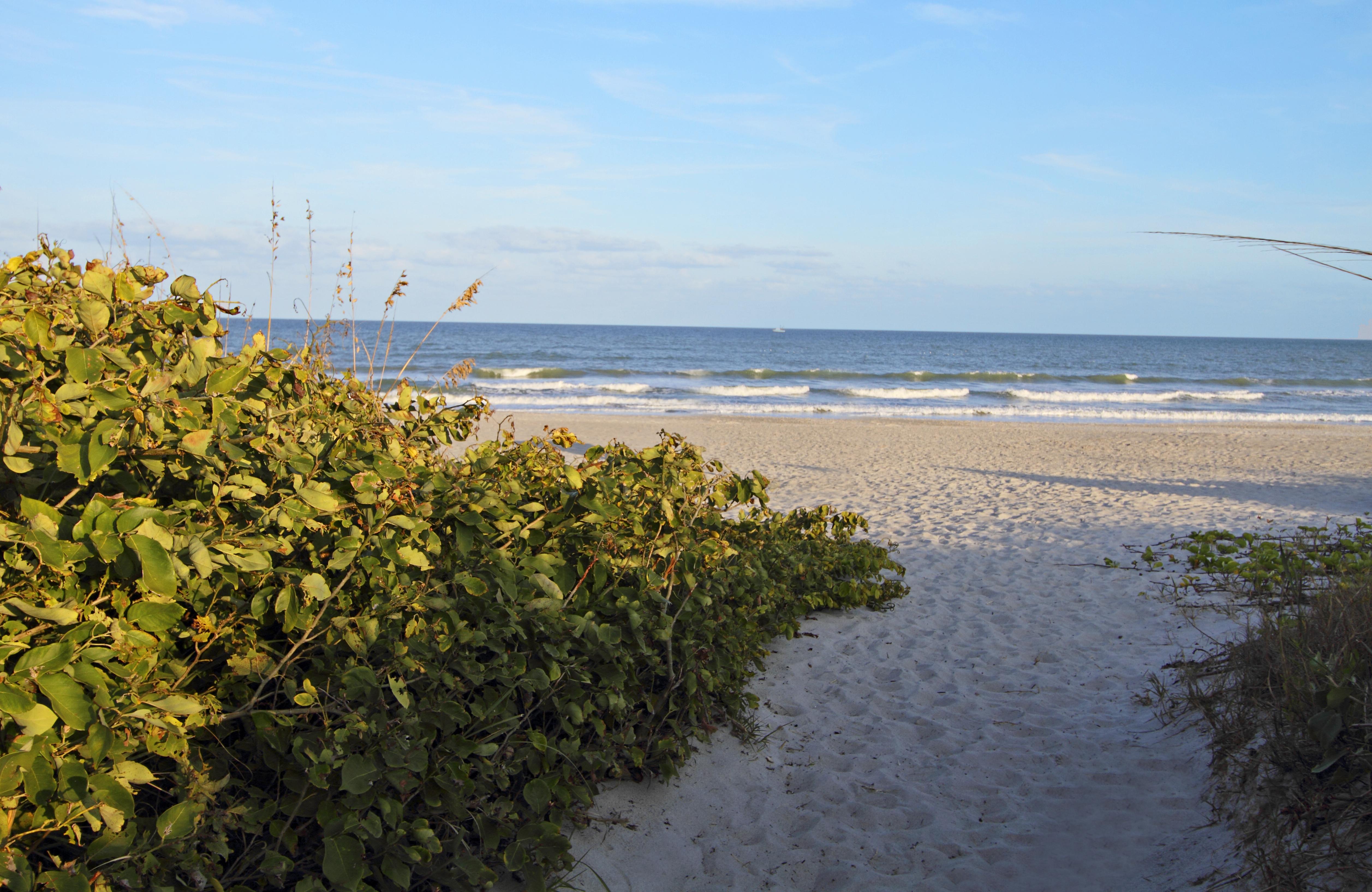 Courtyard By Marriott Cocoa Beach Cape Canaveral Dış mekan fotoğraf